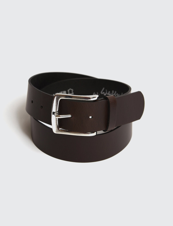 Curea Wegener 16783 maro 1601